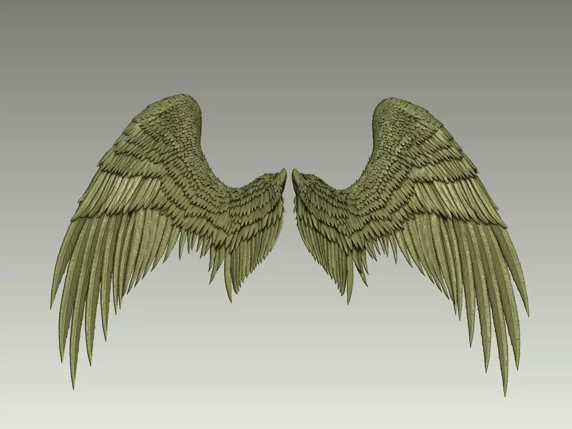 Wing Model 20 3D print model_4
