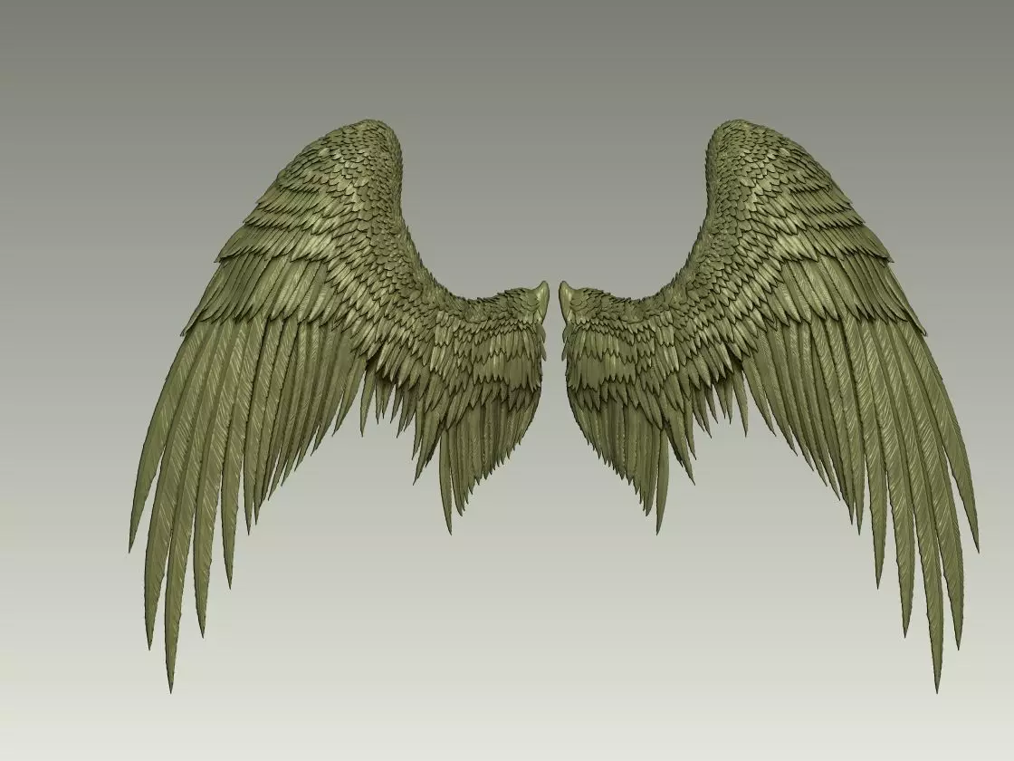 Wing Model 20 3D print model_3