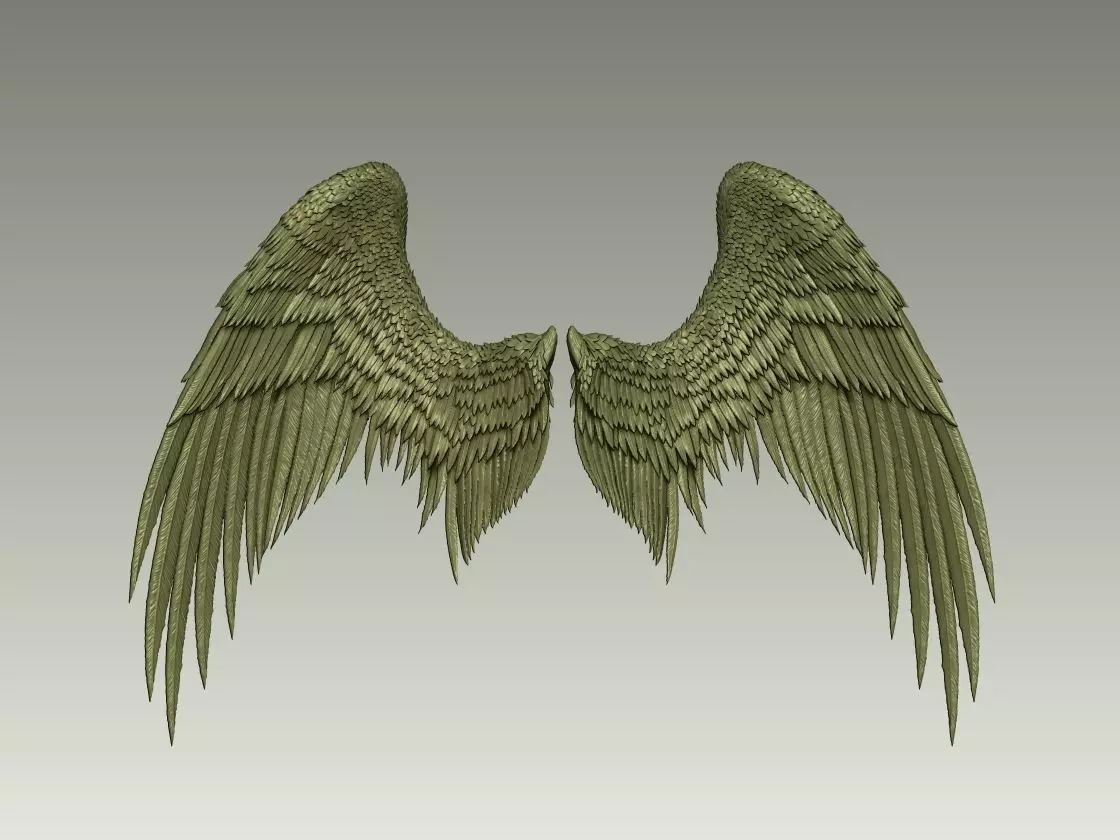 Wing Model 20 3D print model_0