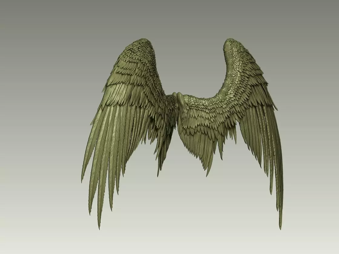 Wing Model 20 3D print model_2