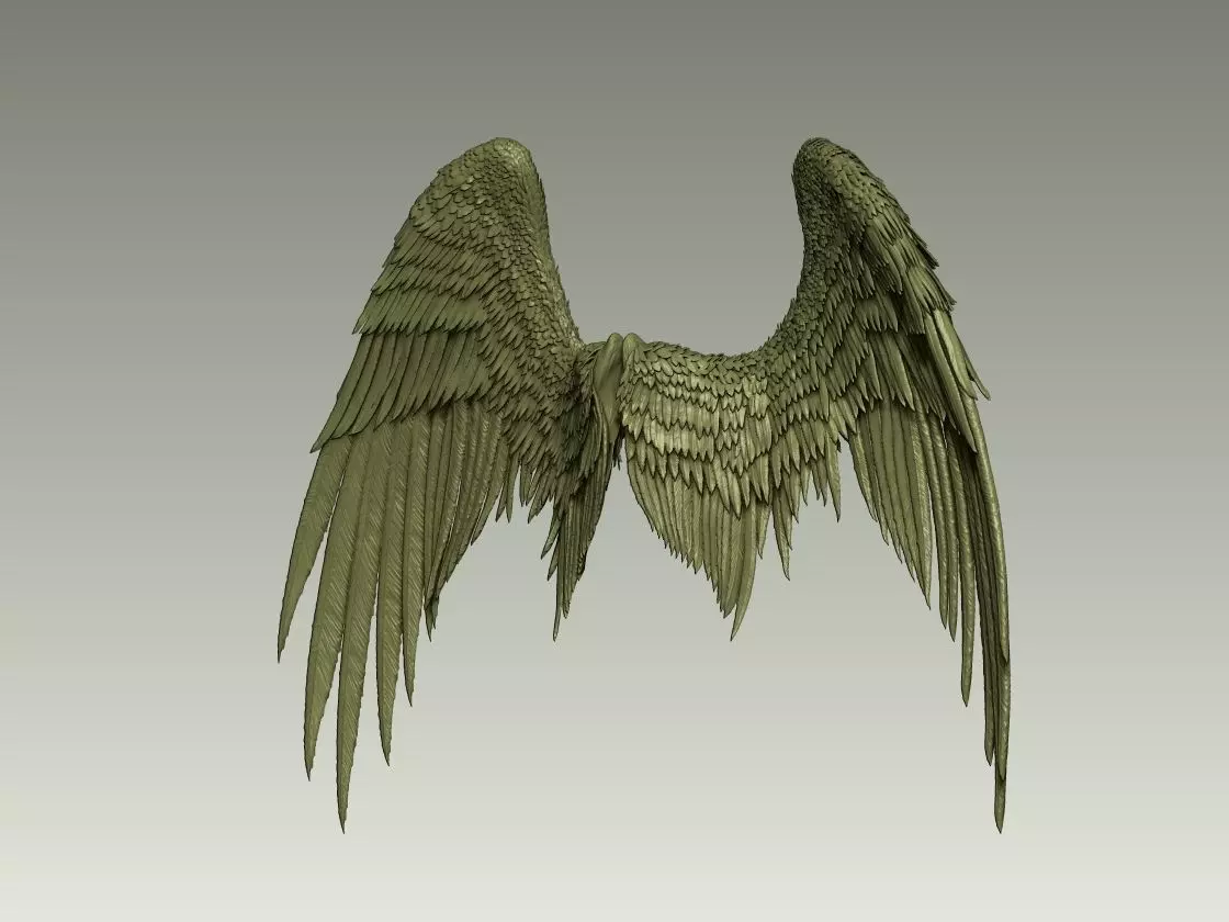 Wing Model 20 3D print model_1