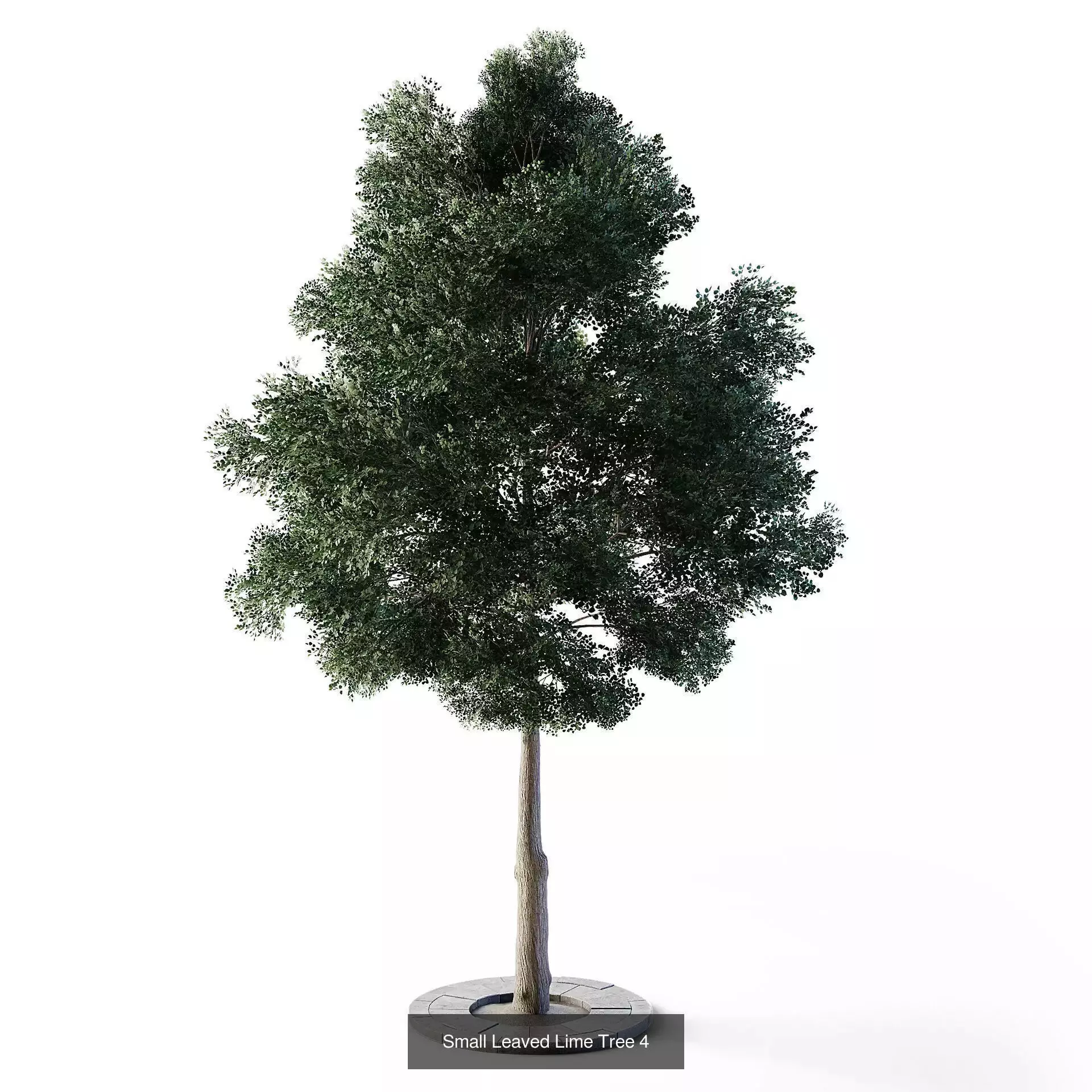 CGAxis Cityscape 3D Model Collection_110