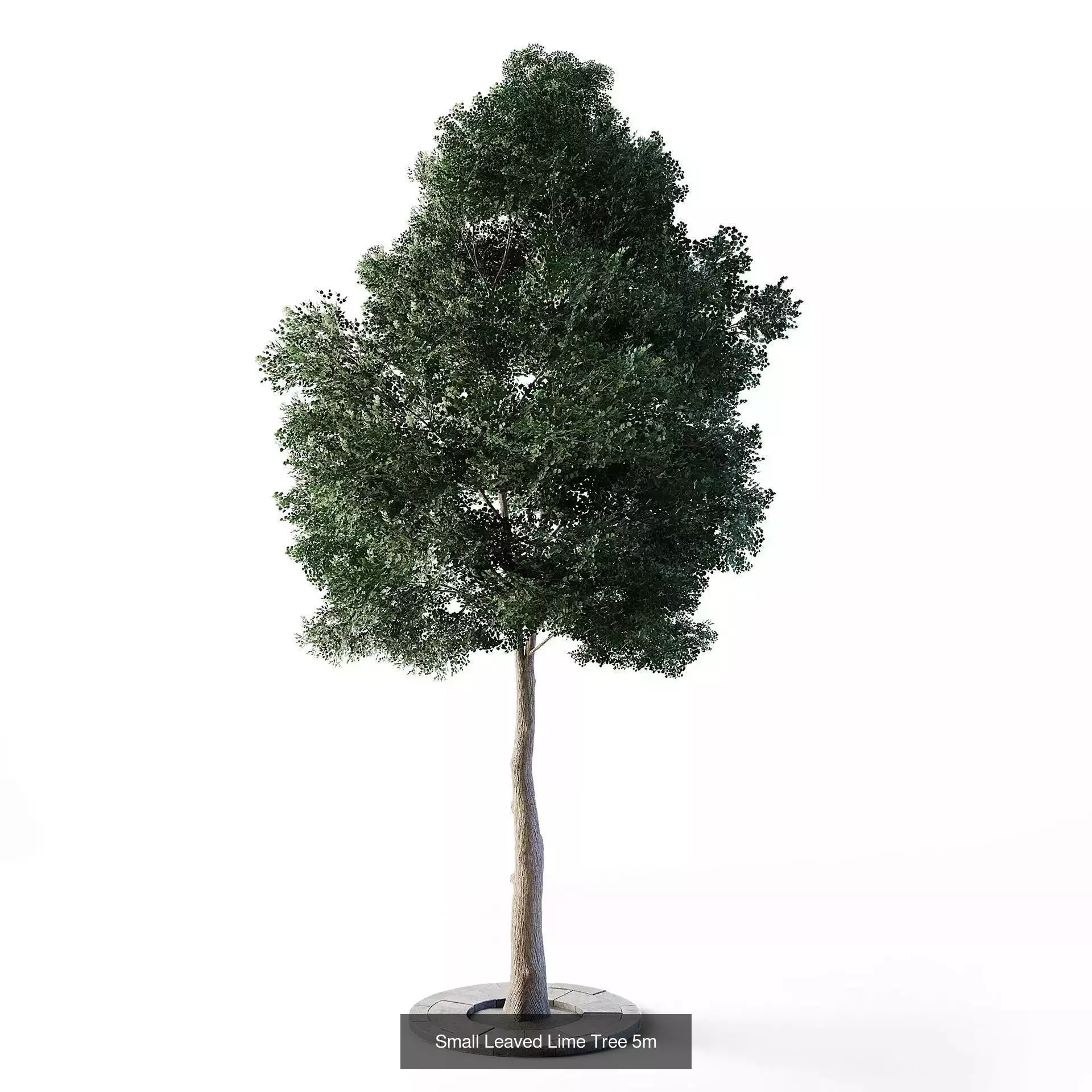 CGAxis Cityscape 3D Model Collection_112