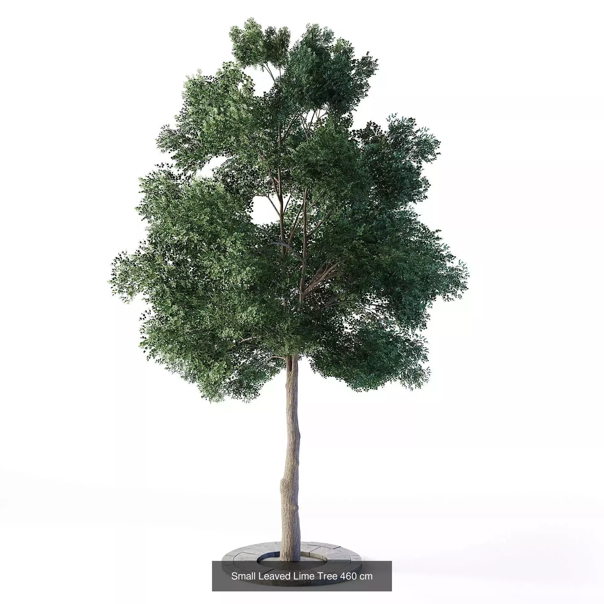 CGAxis Cityscape 3D Model Collection_108