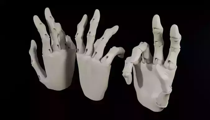 SkeletalHandPoses3DModelSet