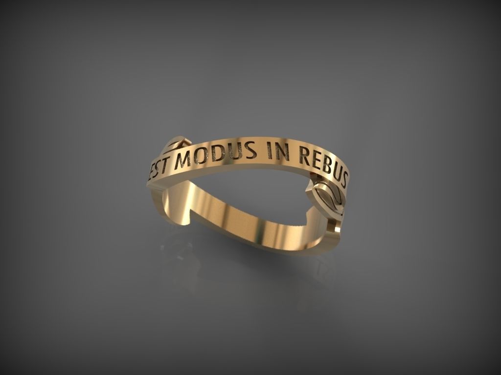 Ring EST MODUS IN REBUS 3D print model