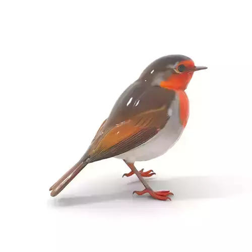 Vibrant Robin Bird model pack