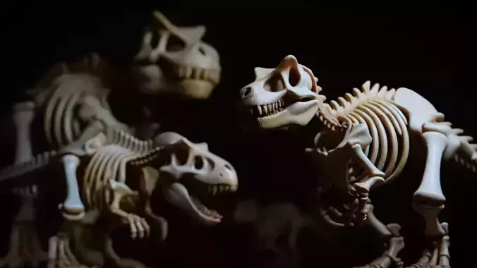 Dinosaurs Skeletons Collection