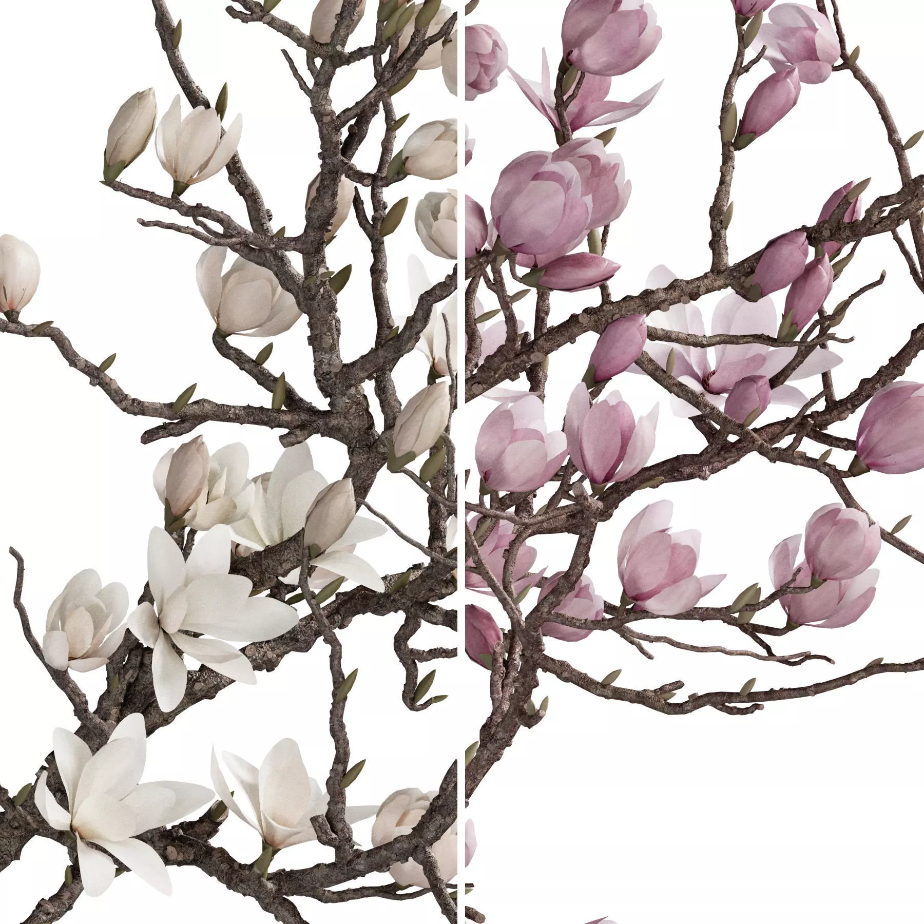 Flower In Vase 94 3D model_4