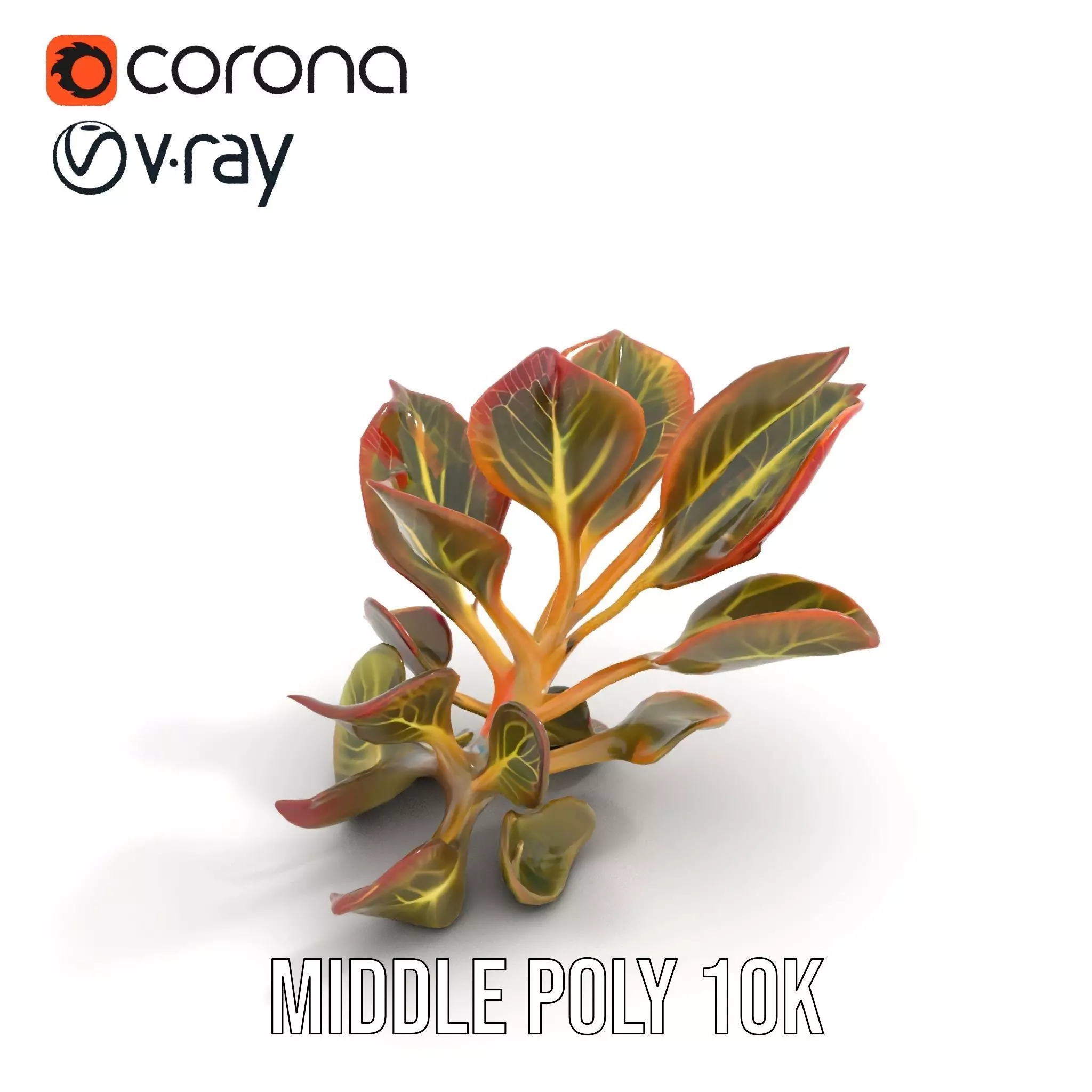 Vibrant Leafy Plant model pack Low-poly 3D model_21
