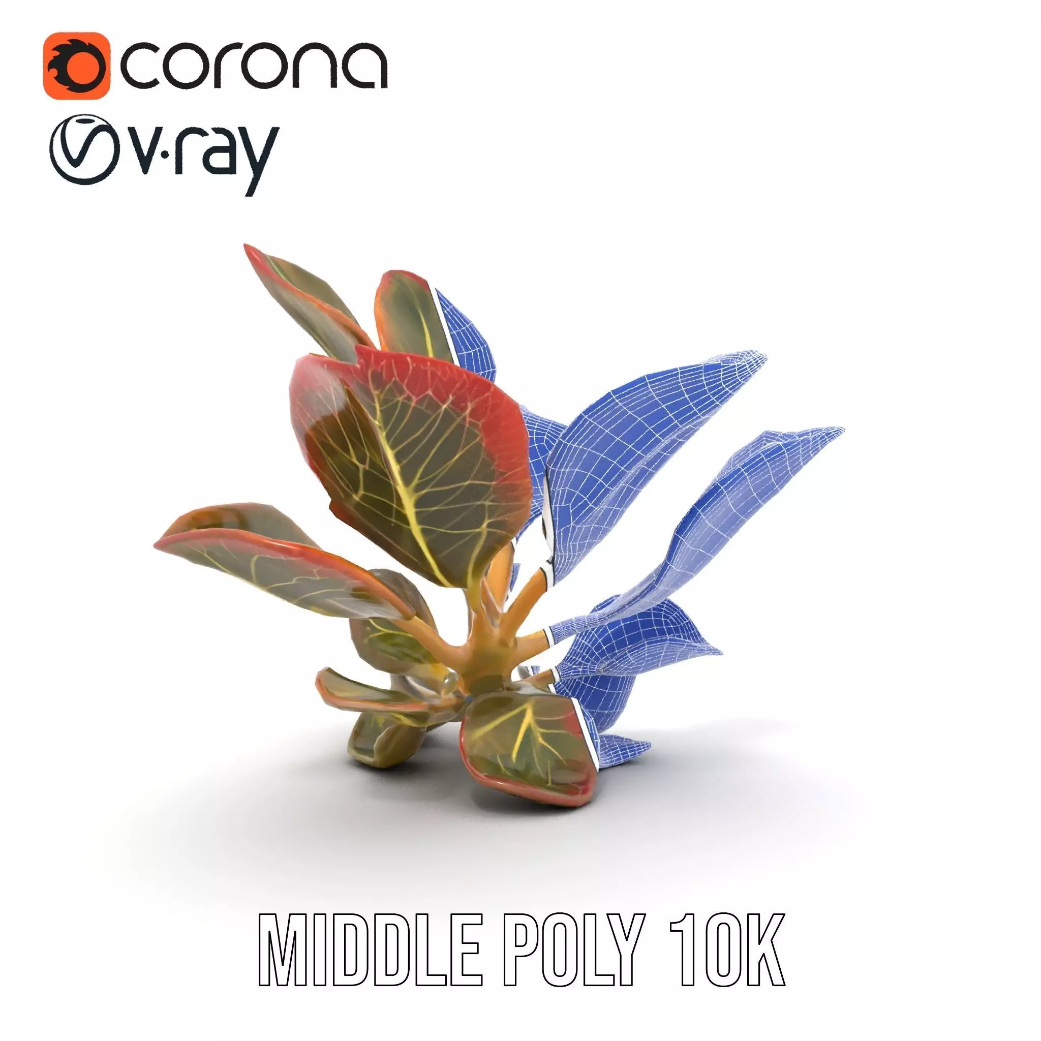 Vibrant Leafy Plant model pack Low-poly 3D model_27