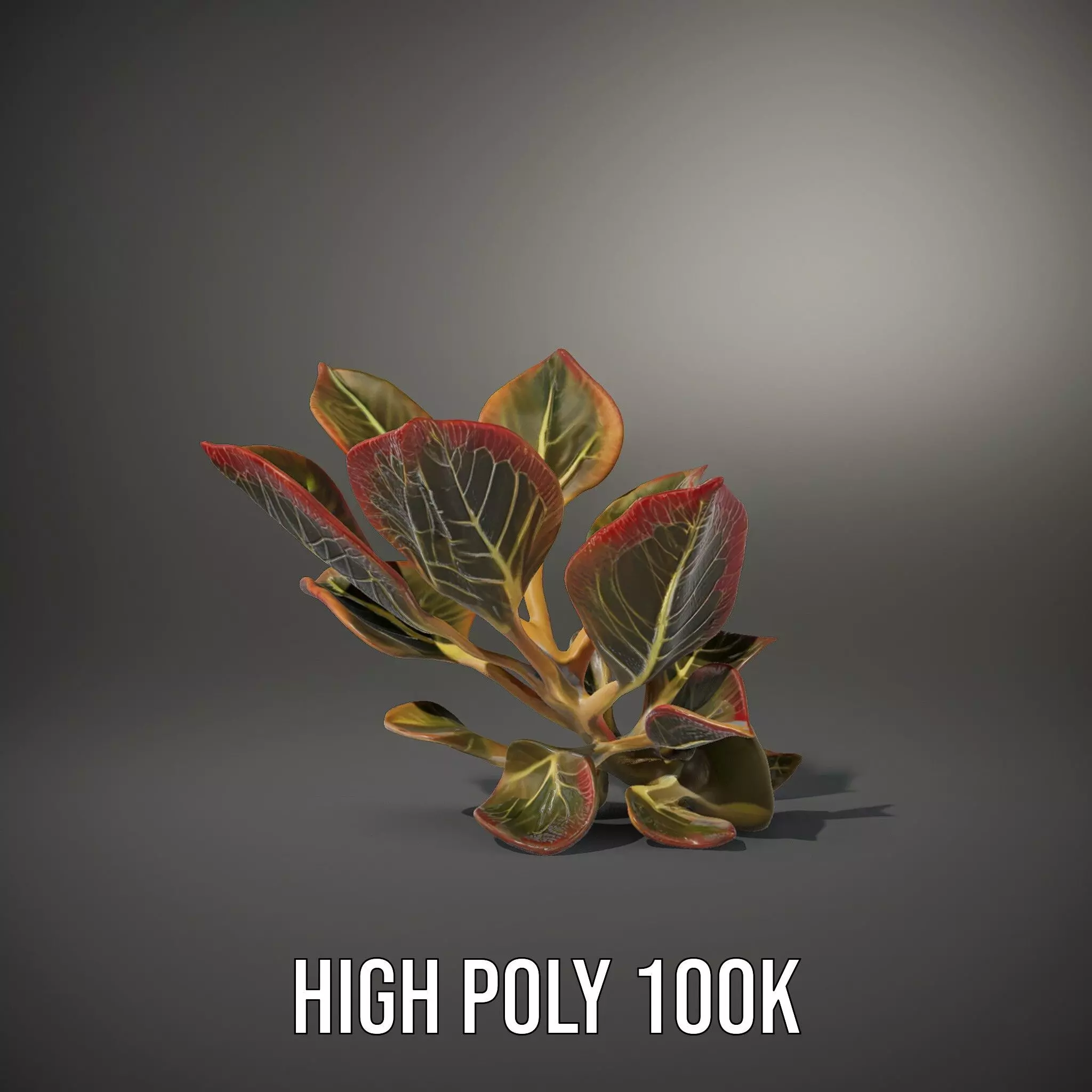 Vibrant Leafy Plant model pack Low-poly 3D model_10