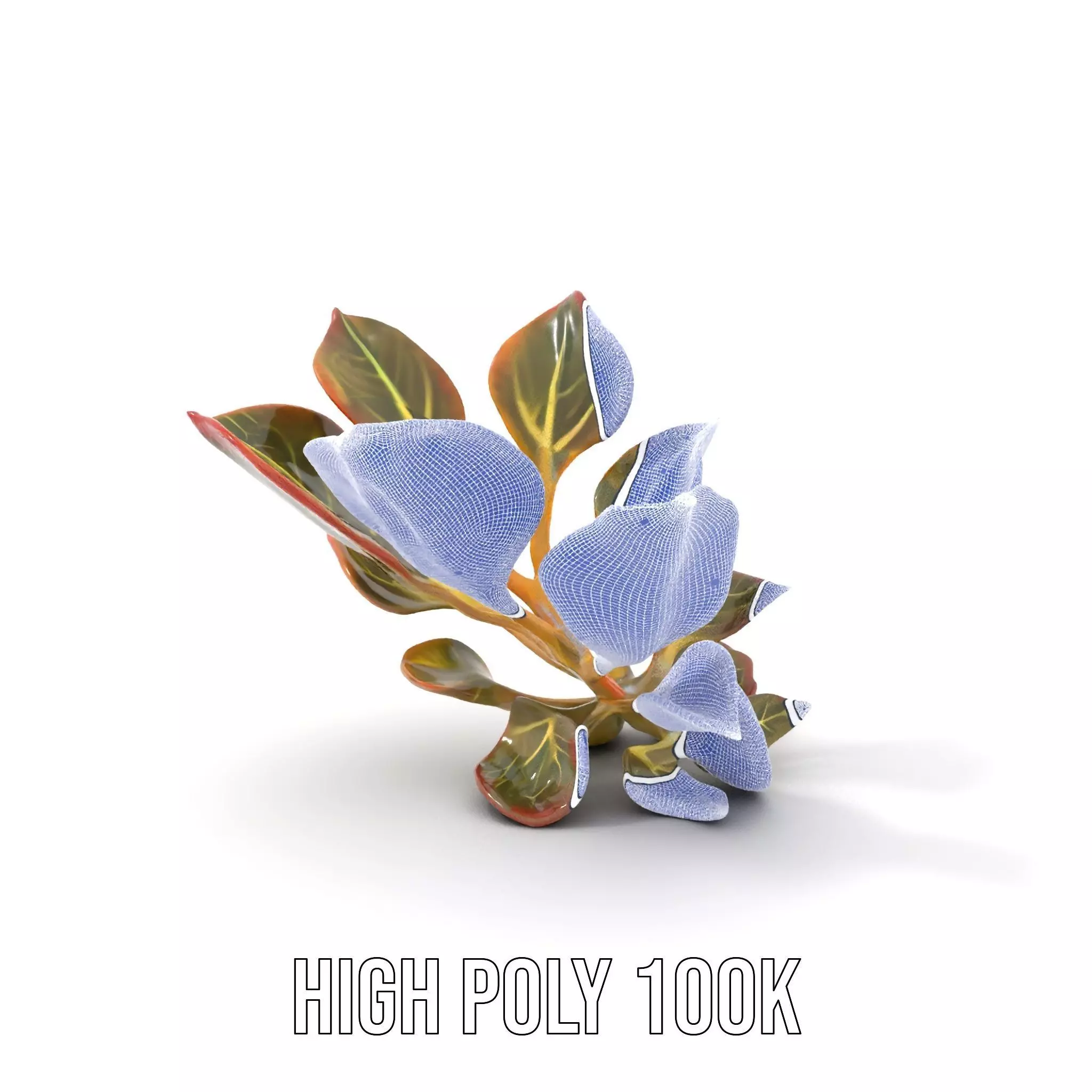Vibrant Leafy Plant model pack Low-poly 3D model_4