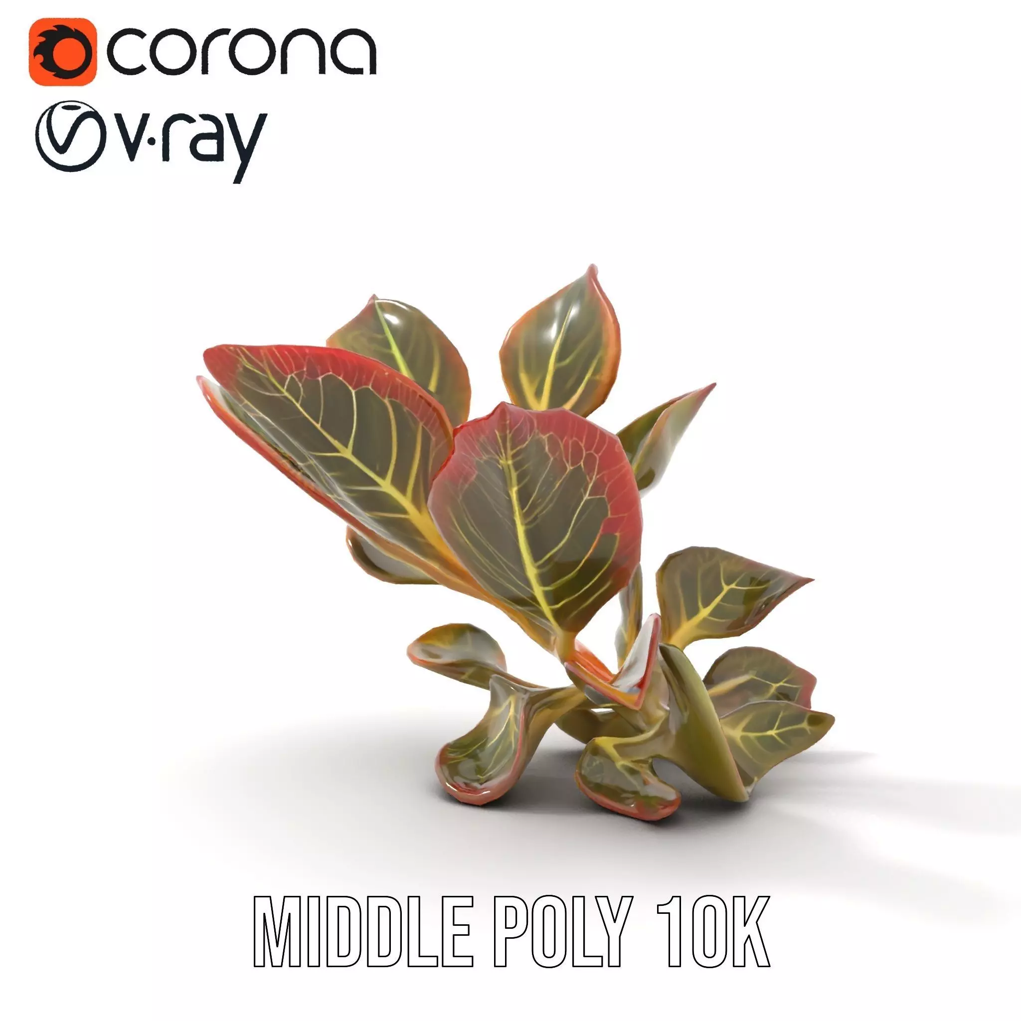 Vibrant Leafy Plant model pack Low-poly 3D model_6