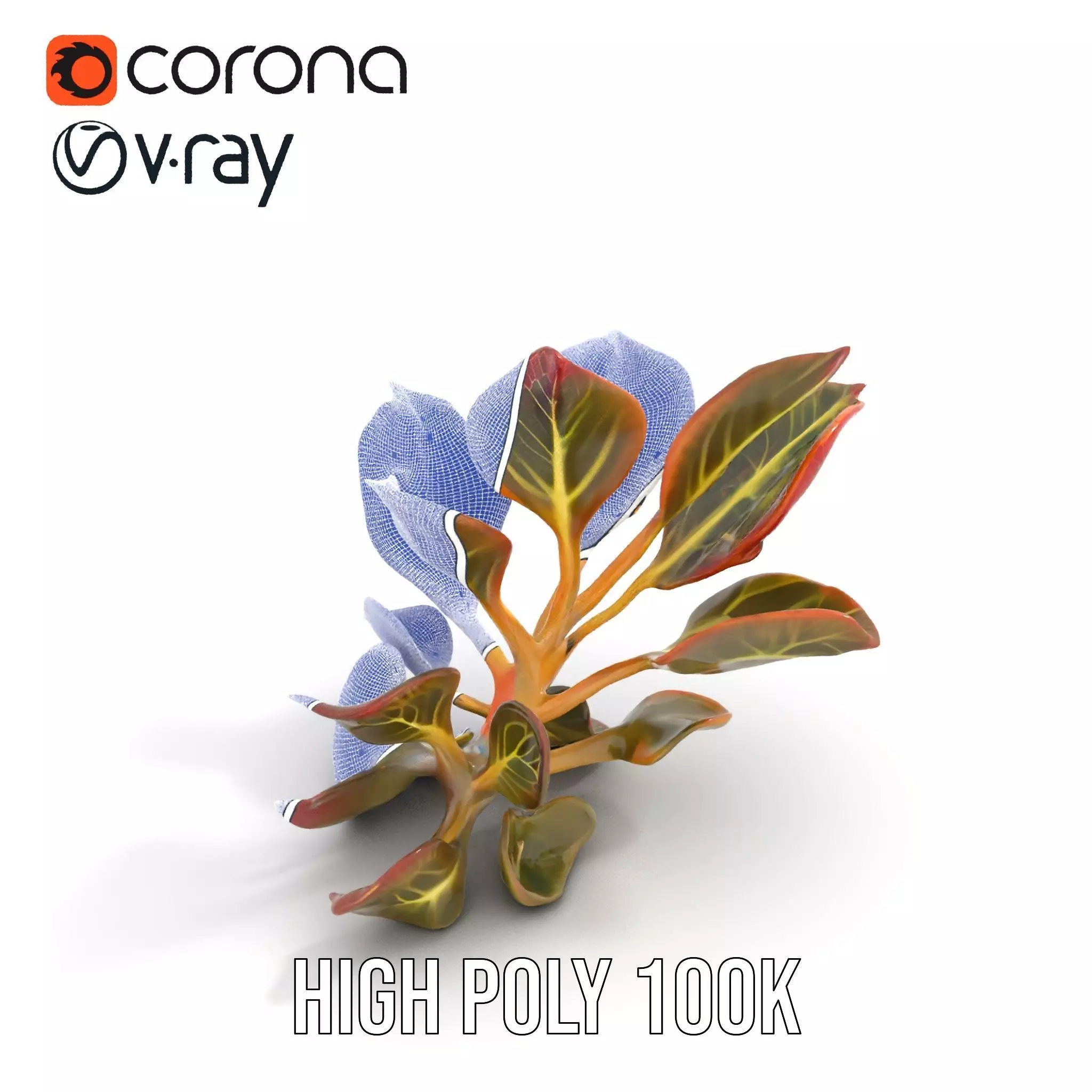 Vibrant Leafy Plant model pack Low-poly 3D model_32