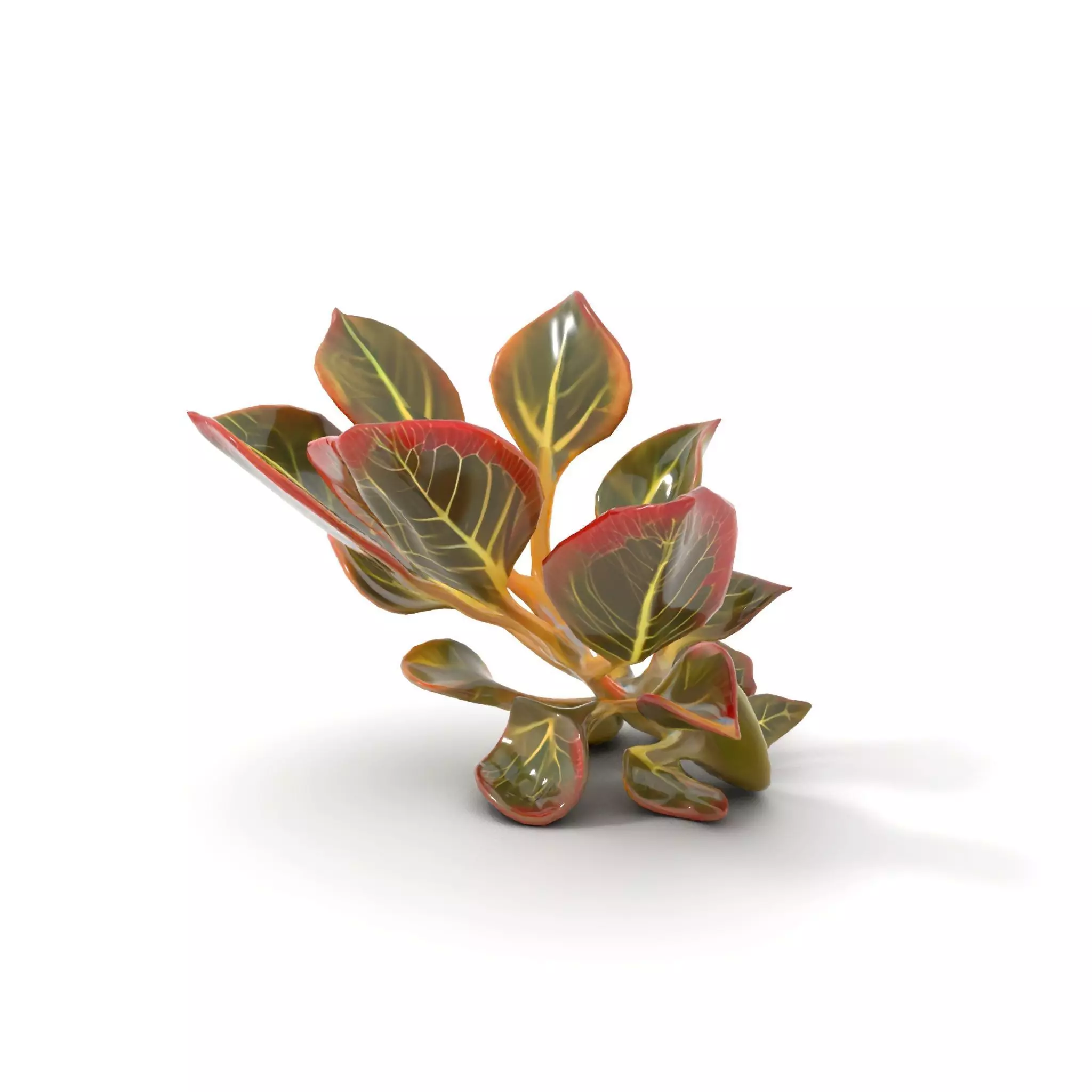 Vibrant Leafy Plant model pack Low-poly 3D model_13