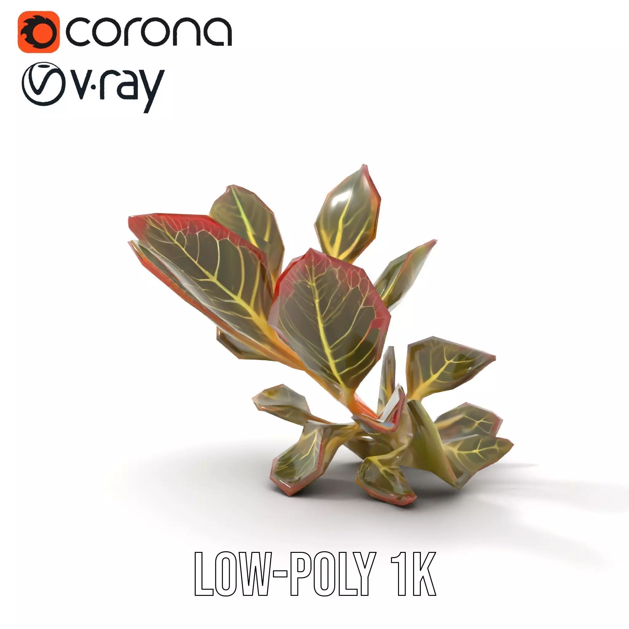 Vibrant Leafy Plant model pack Low-poly 3D model_14