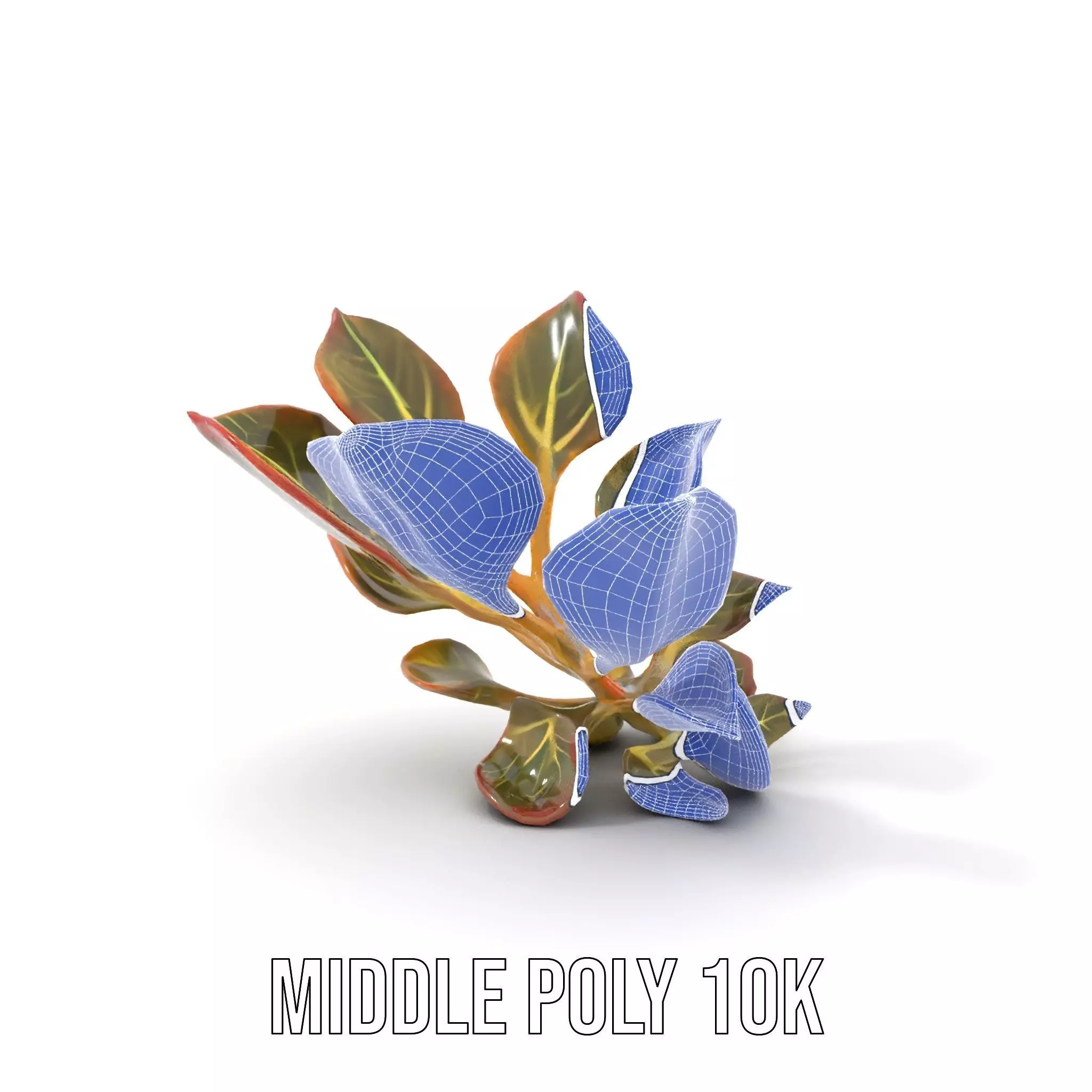 Vibrant Leafy Plant model pack Low-poly 3D model_16