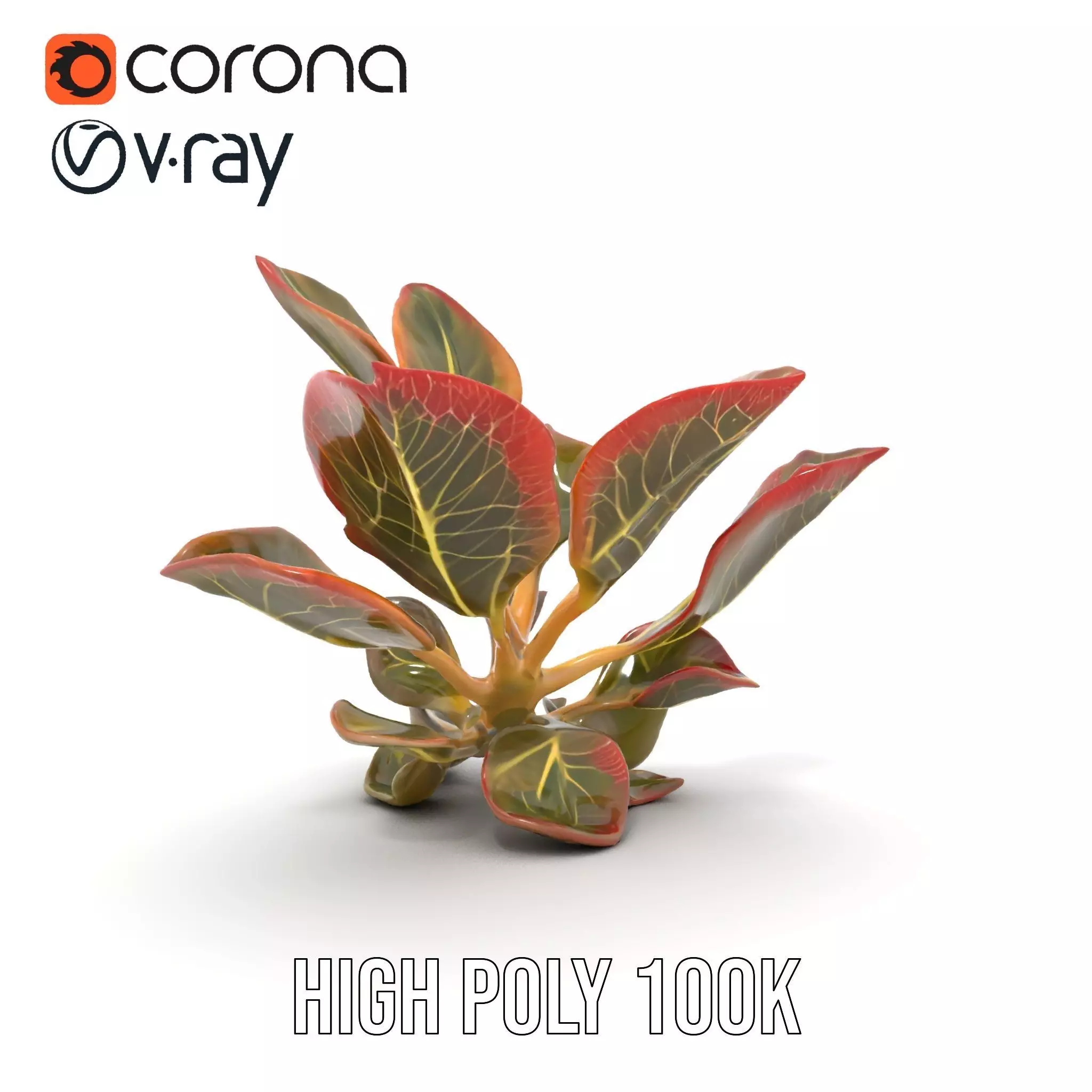 Vibrant Leafy Plant model pack Low-poly 3D model_29