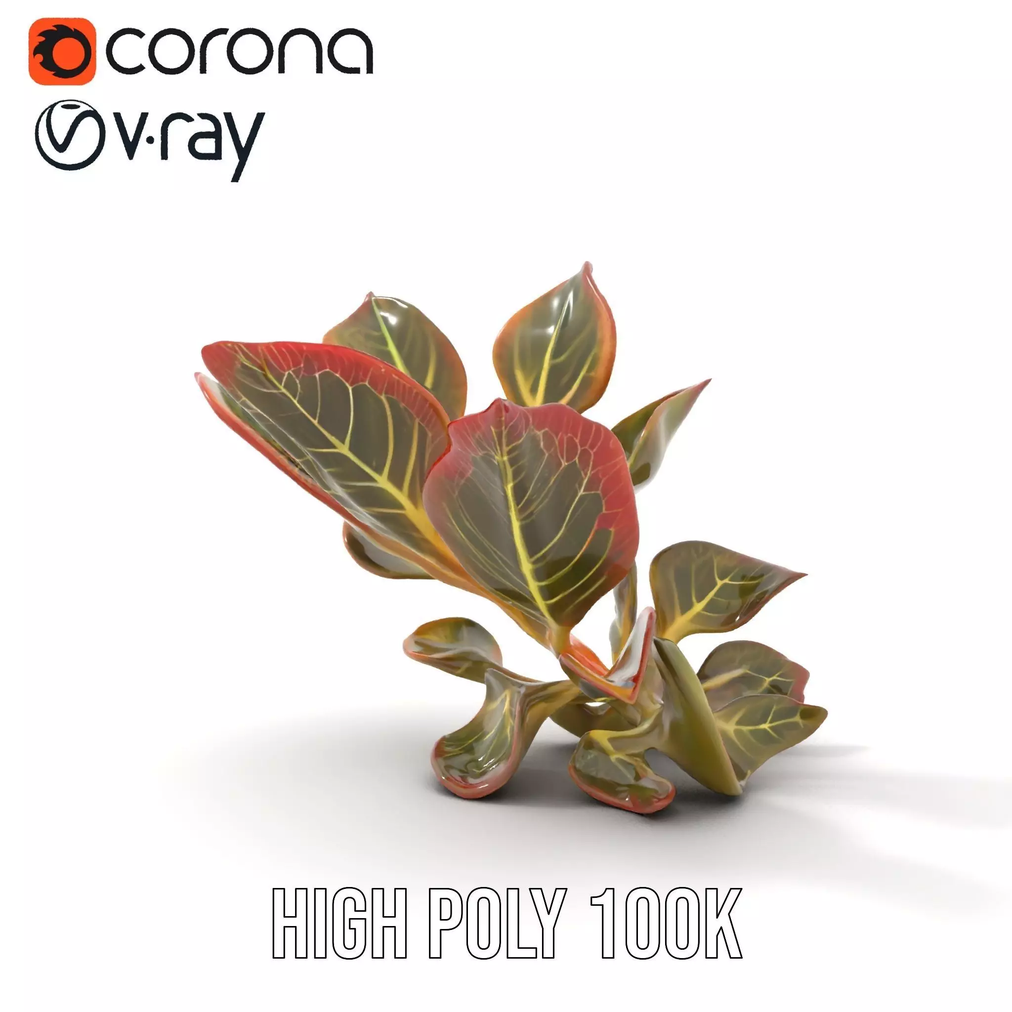 Vibrant Leafy Plant model pack Low-poly 3D model_23