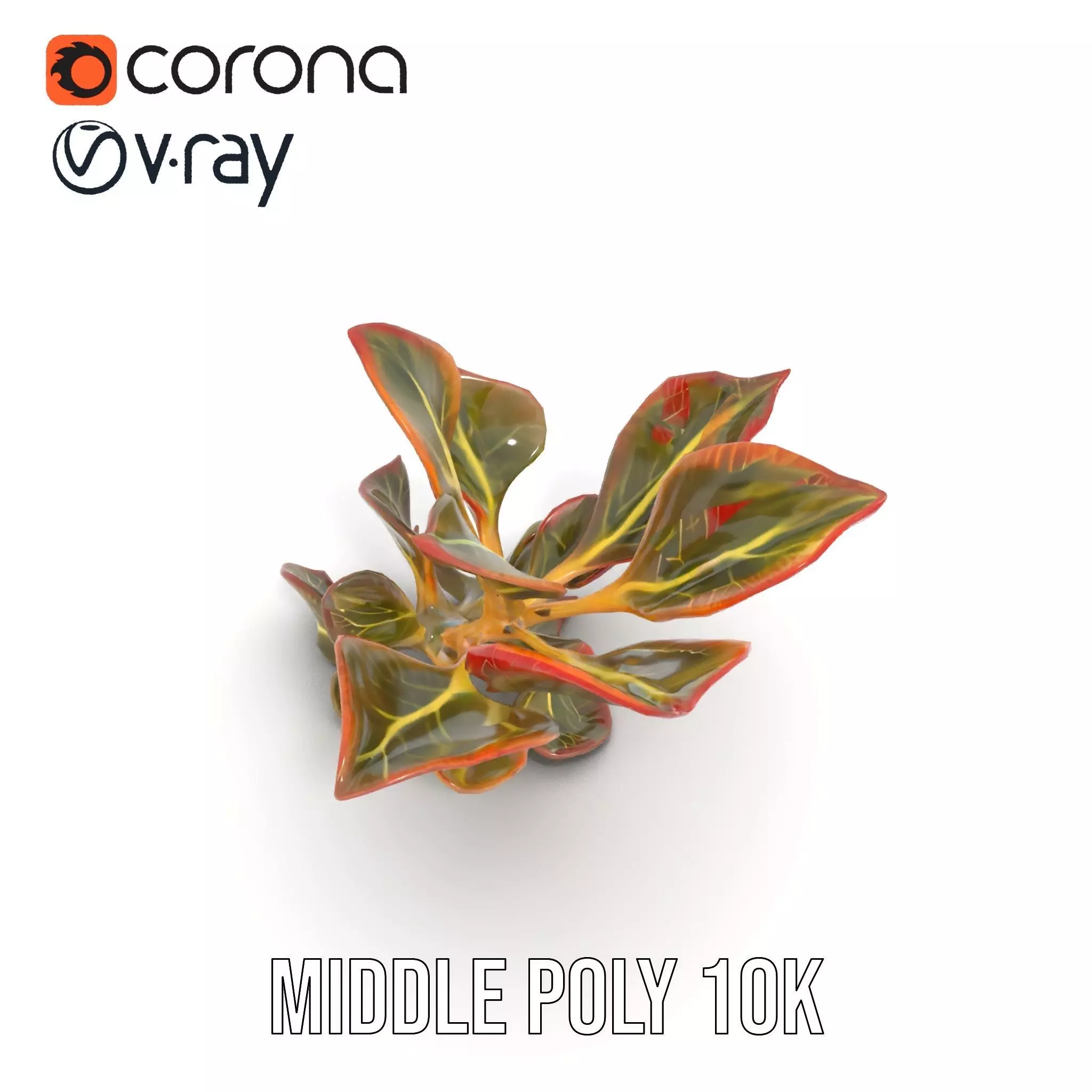 Vibrant Leafy Plant model pack Low-poly 3D model_11