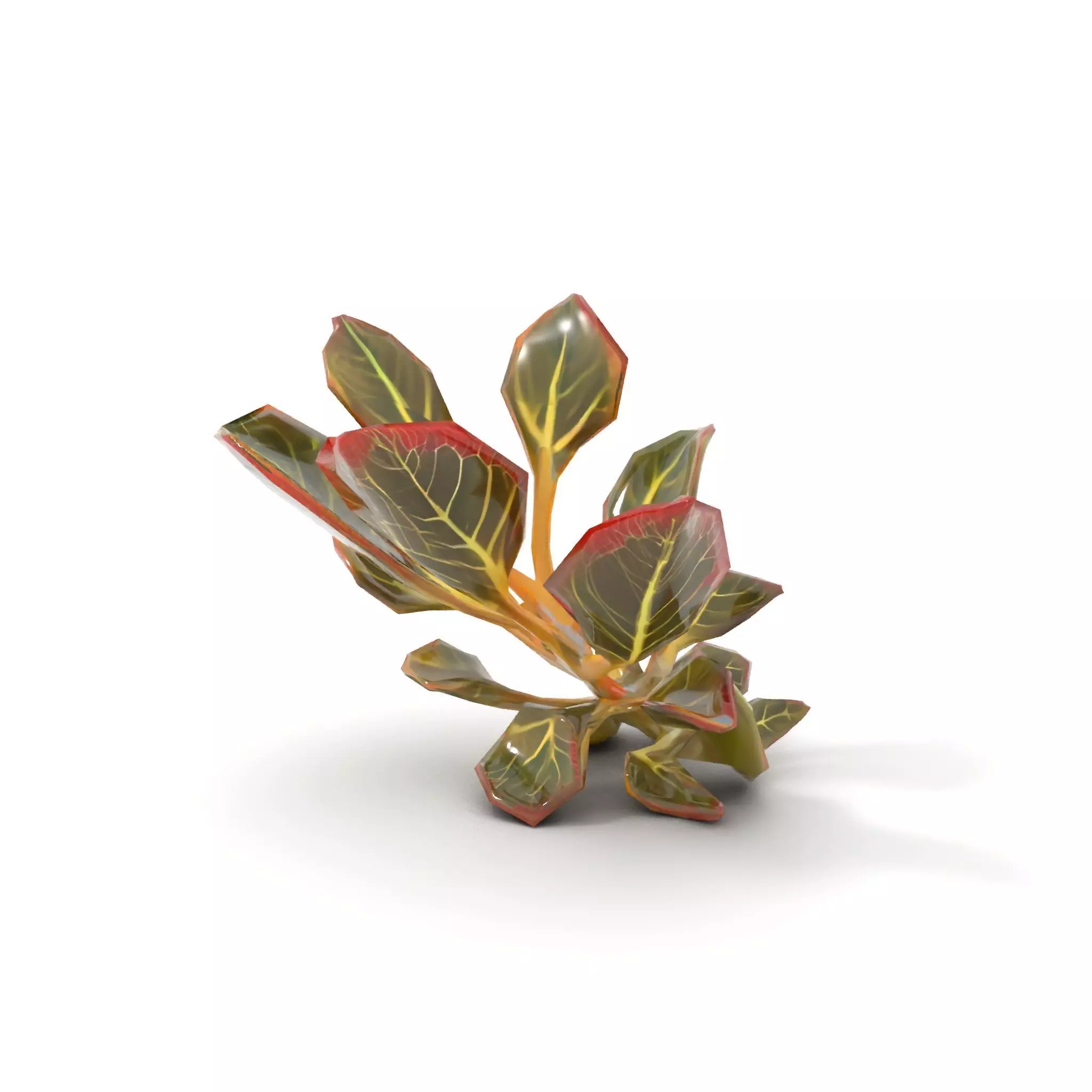 Vibrant Leafy Plant model pack Low-poly 3D model_12