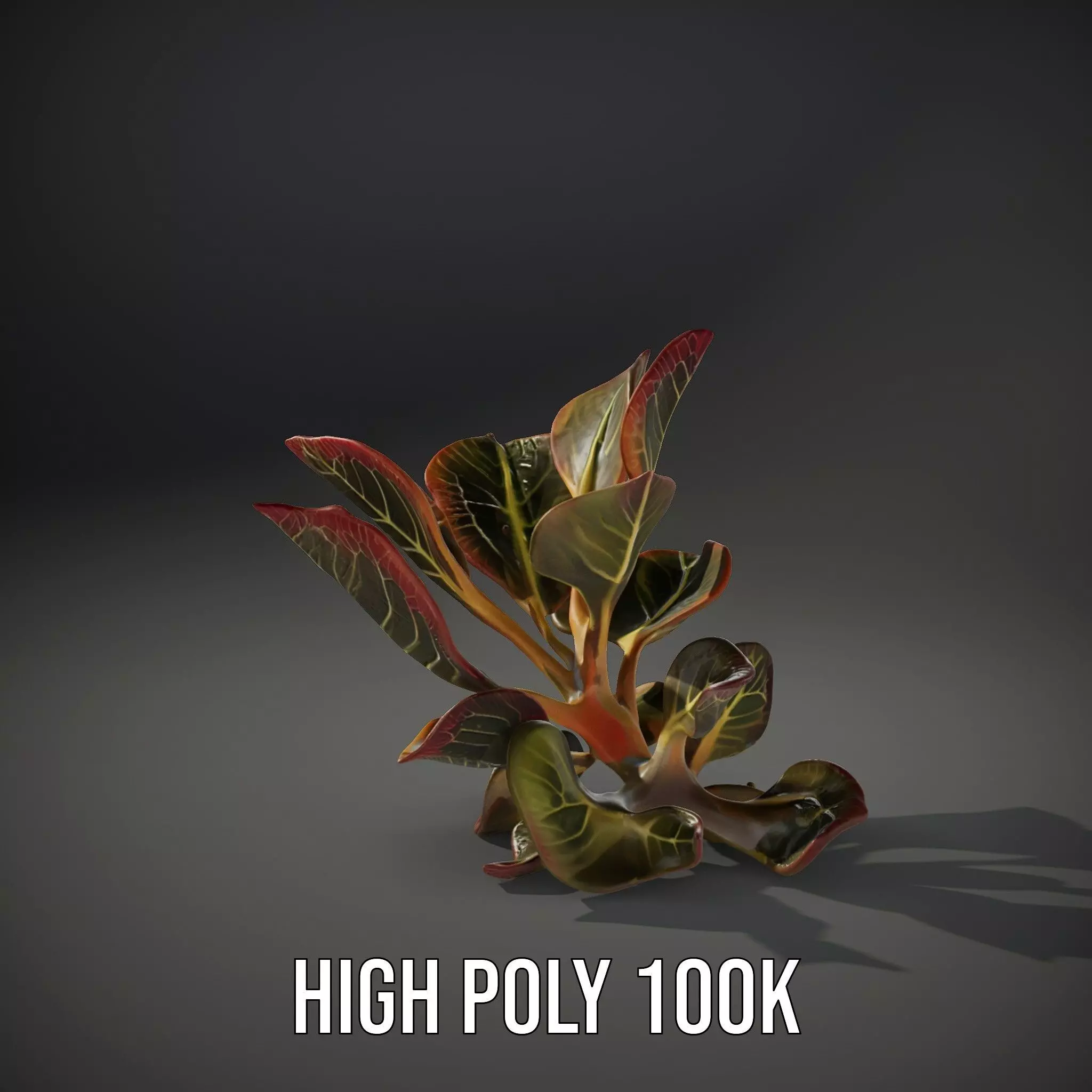 Vibrant Leafy Plant model pack Low-poly 3D model_8