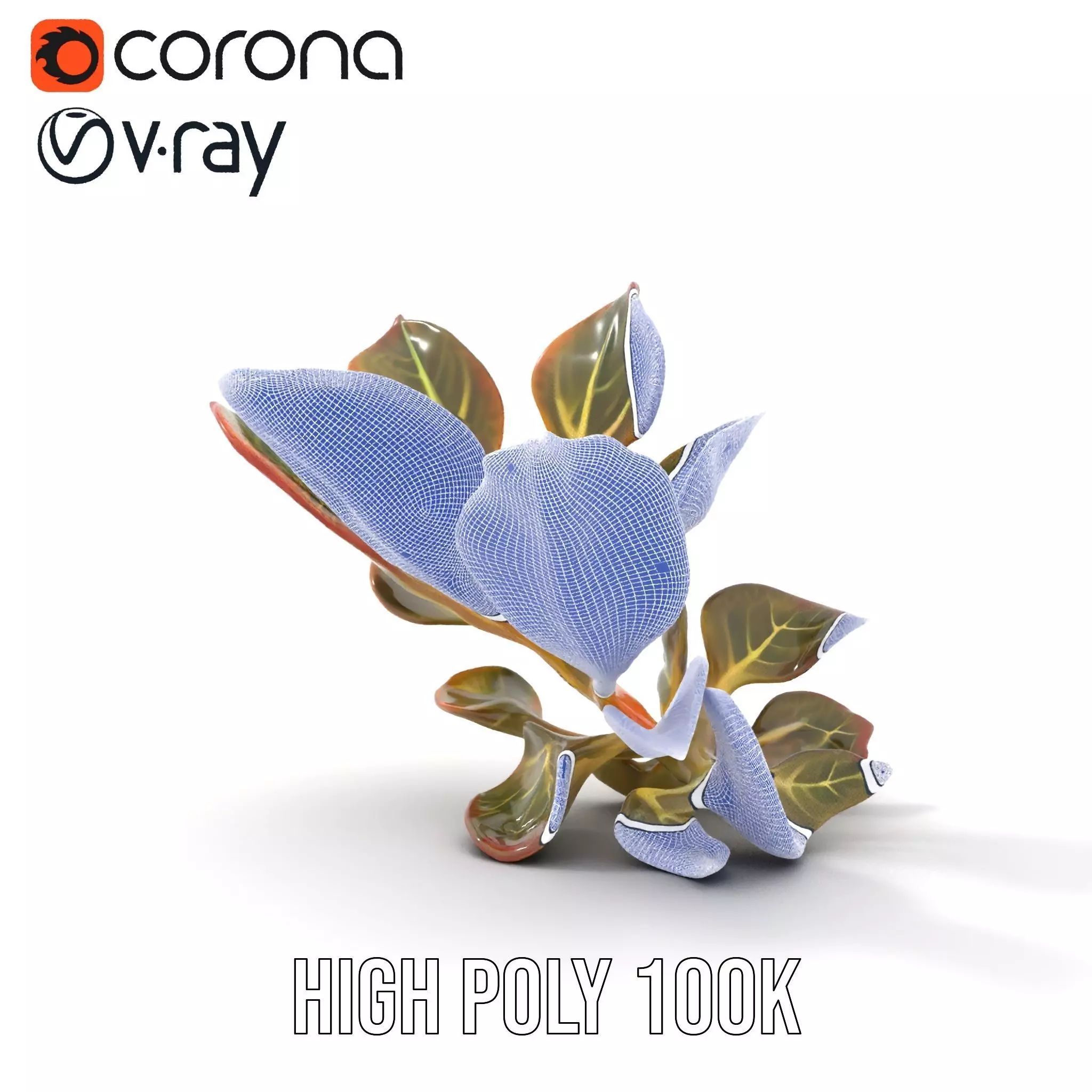 Vibrant Leafy Plant model pack Low-poly 3D model_33