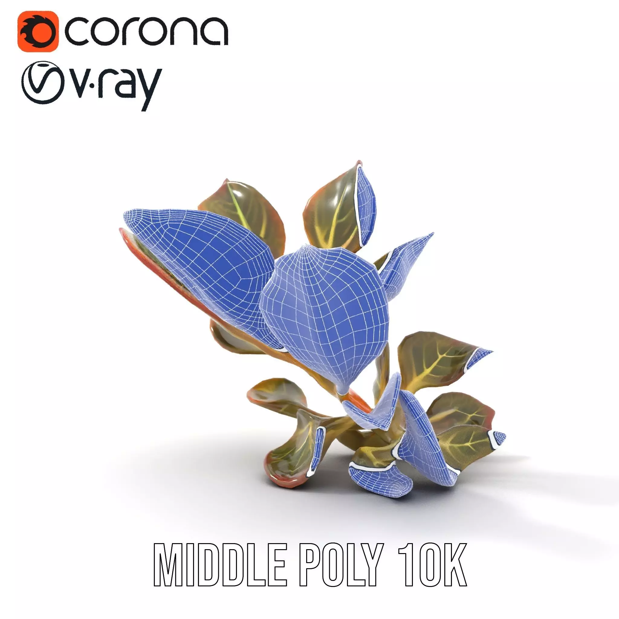 Vibrant Leafy Plant model pack Low-poly 3D model_30