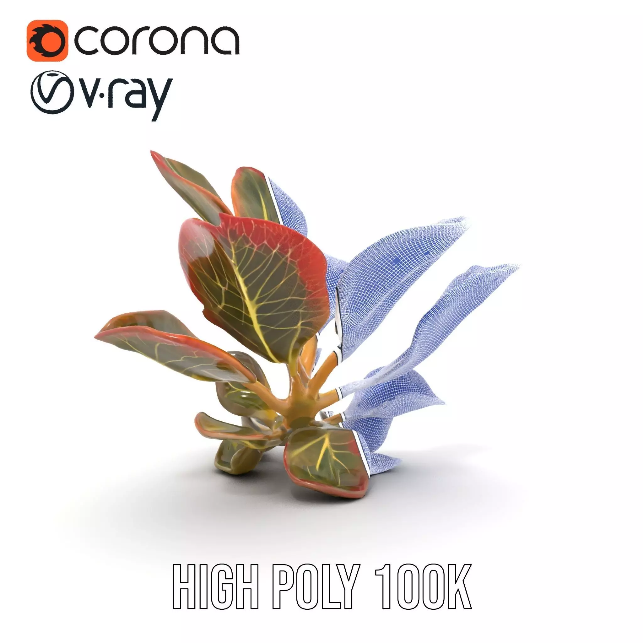 Vibrant Leafy Plant model pack Low-poly 3D model_34