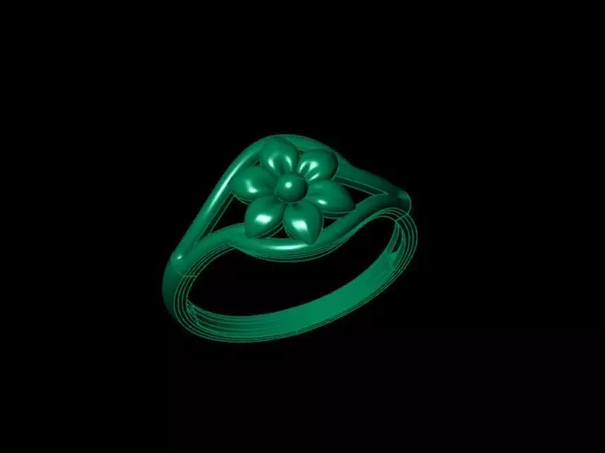 Rings 3D print model_2