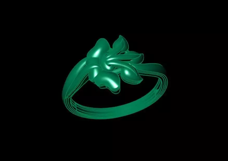 Rings 3D print model_2