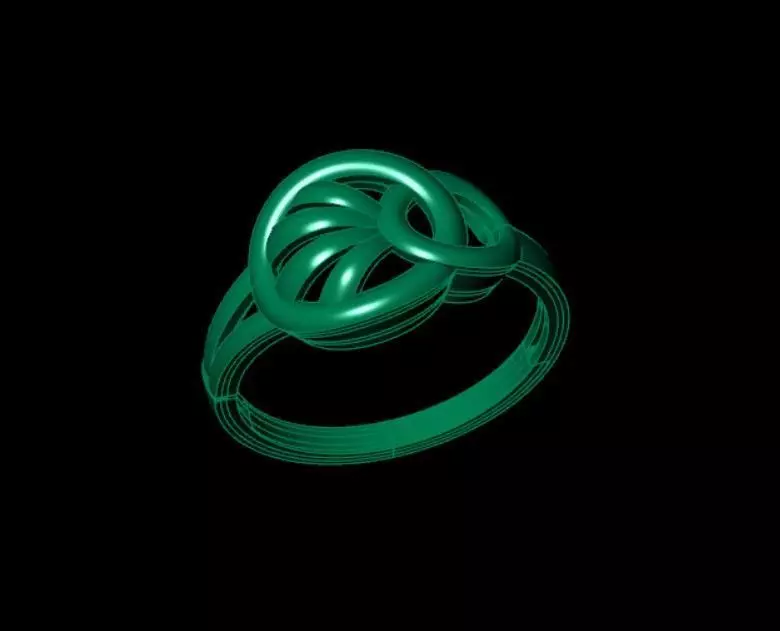 Rings 3D print model_2