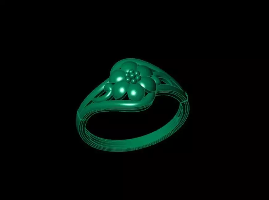 Rings 3D print model_2