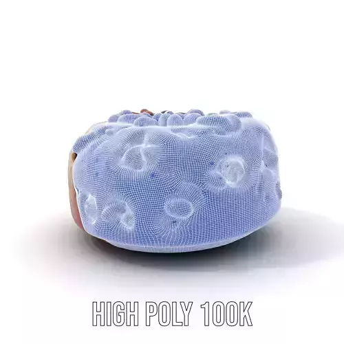 Nutty Festive Cake model pack Low-poly 3D model 4