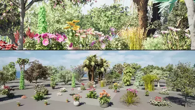 Realistic South African Plants and Trees 3D Pack