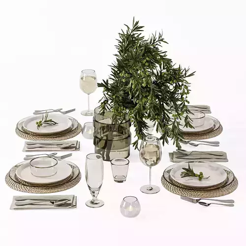 Table setting H45