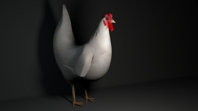 Hen Pigged and Animated Lowpoly