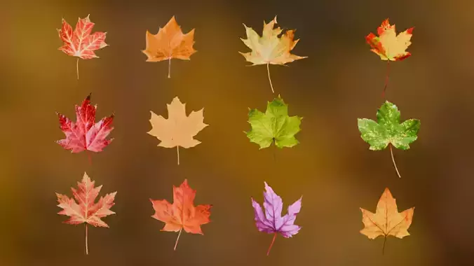 Autumn Leaves 3D Pack Low-poly 3D model Autumn Leaves 3D Pack Low-poly 3D model