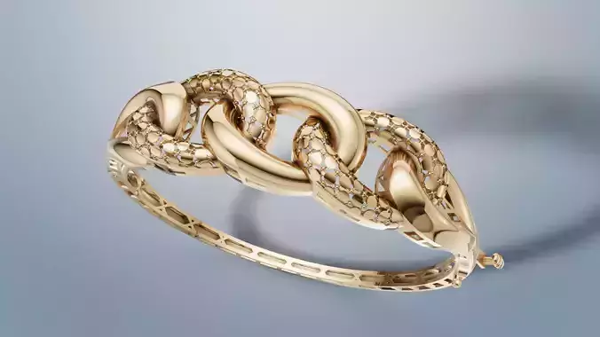 jewellery  bracelet