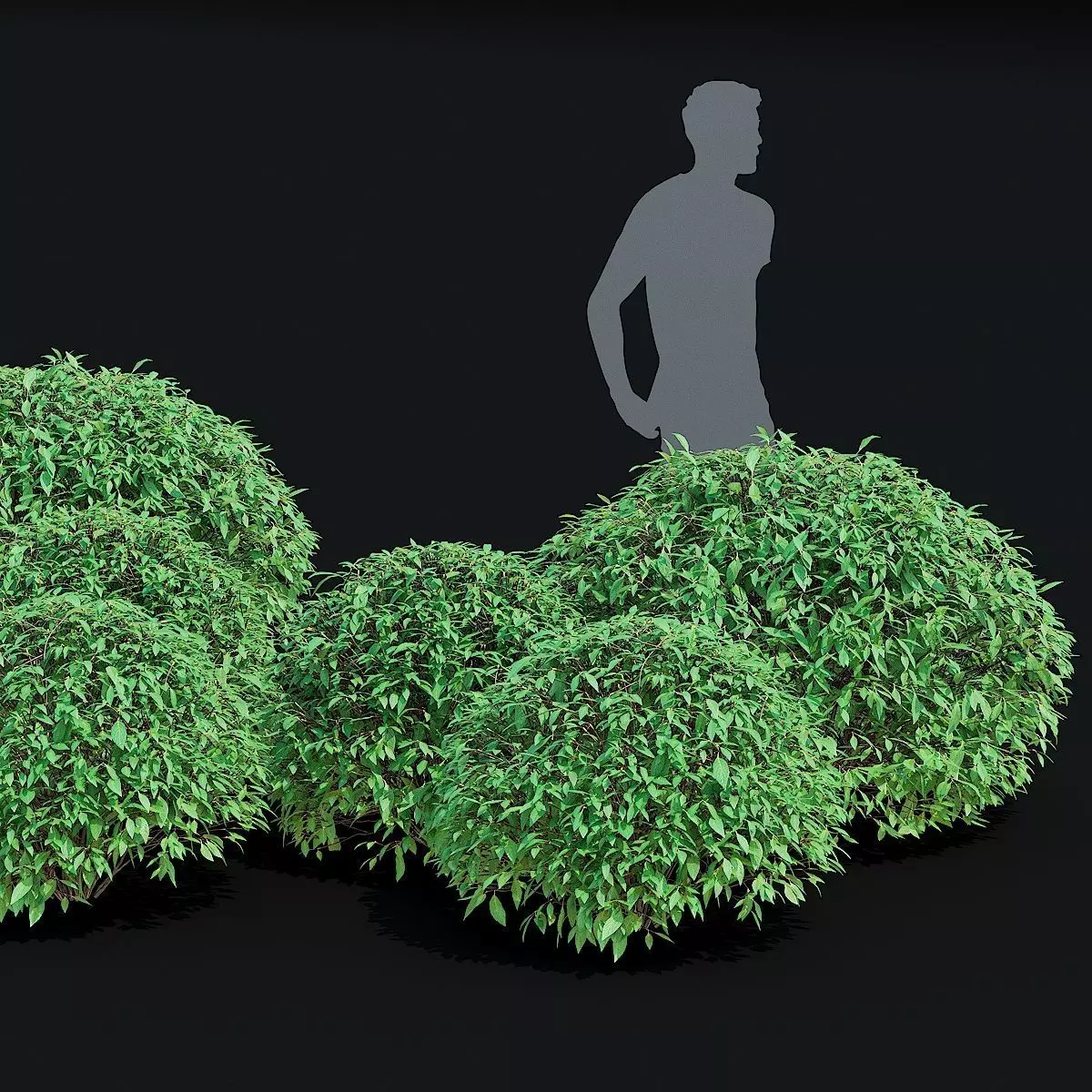 Forsythia balls 3D model_1