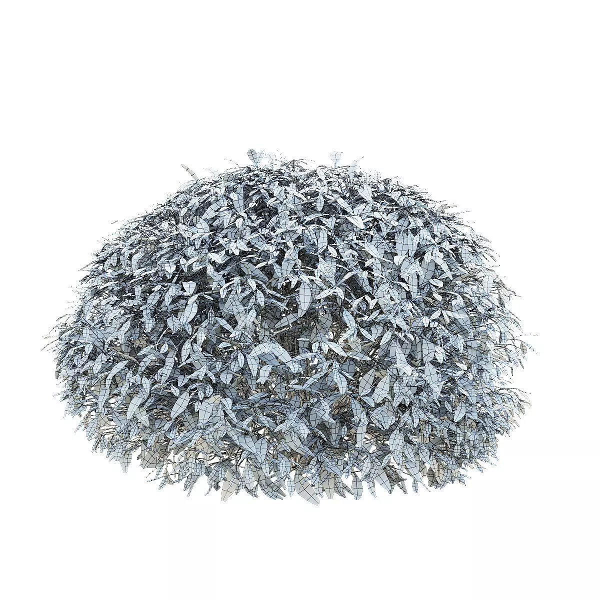 Forsythia balls 3D model_9