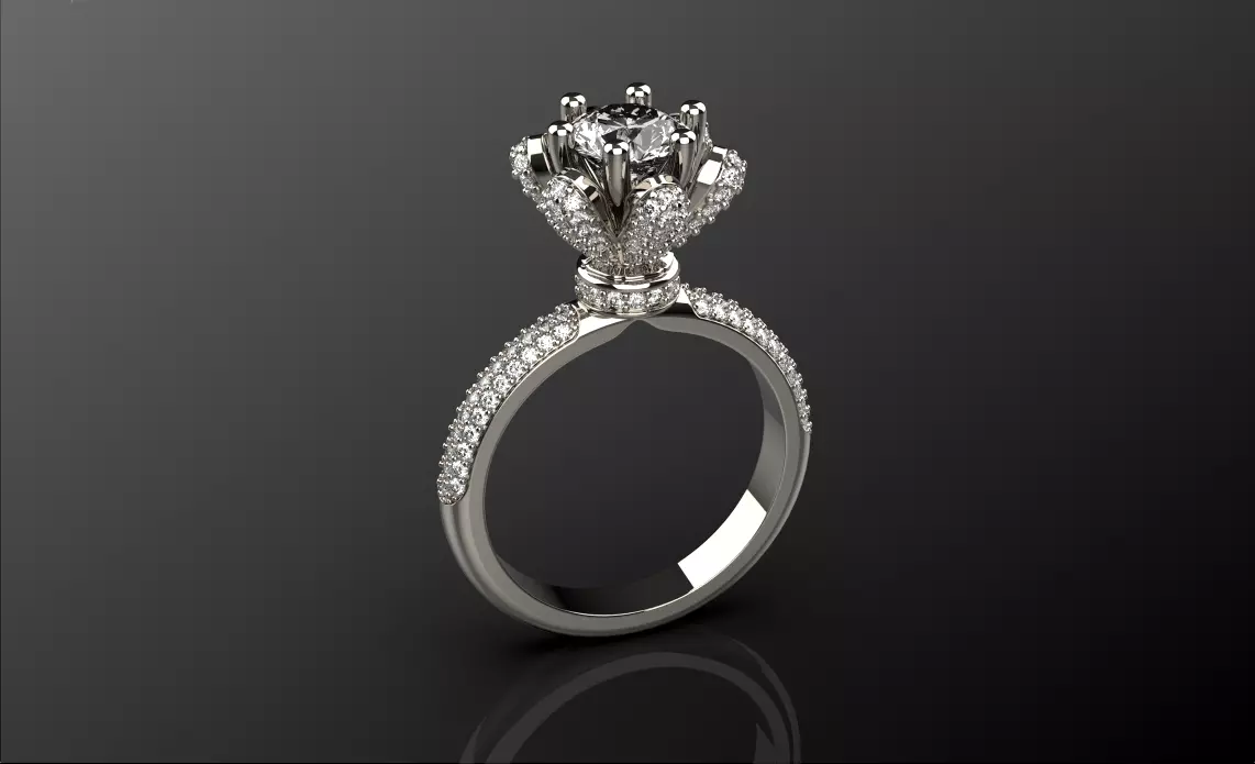 ring 040925 3D print model