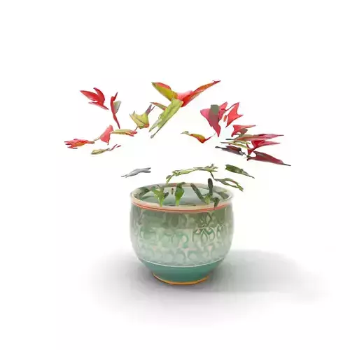 Vibrant Ceramic Plant model pack