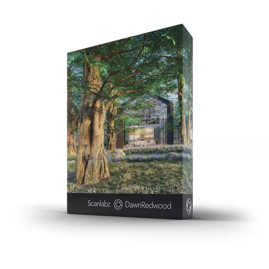 Scanlabz Collection DawnRedwood Trees 3D model_0