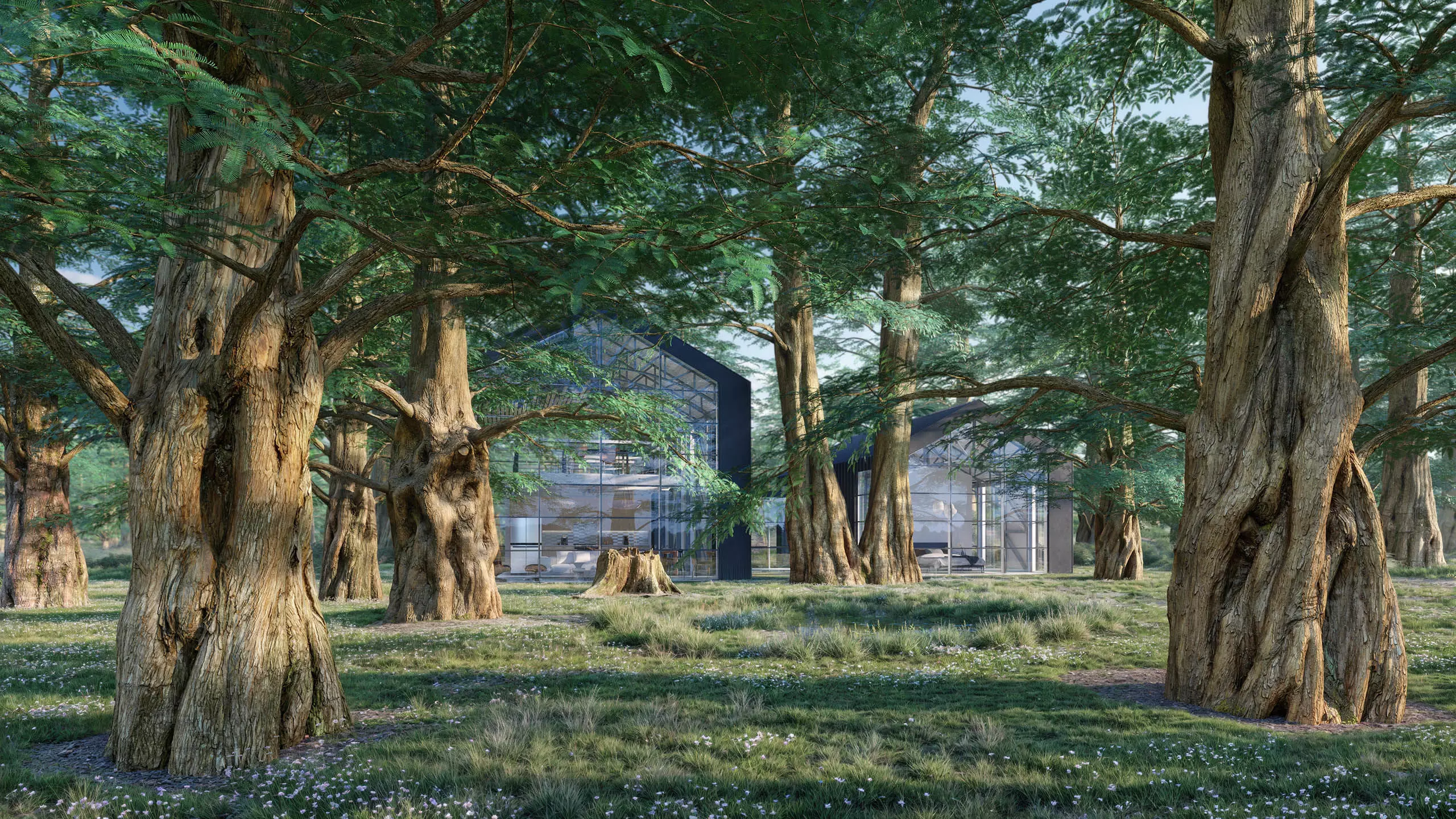 Scanlabz Collection DawnRedwood Trees 3D model_2