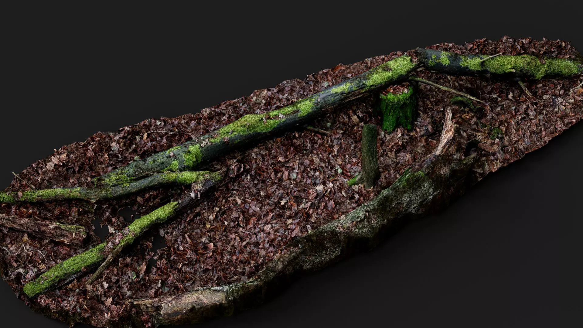 broken tree trunks forest ground PBR photogrammetry Low-poly 3D model_5