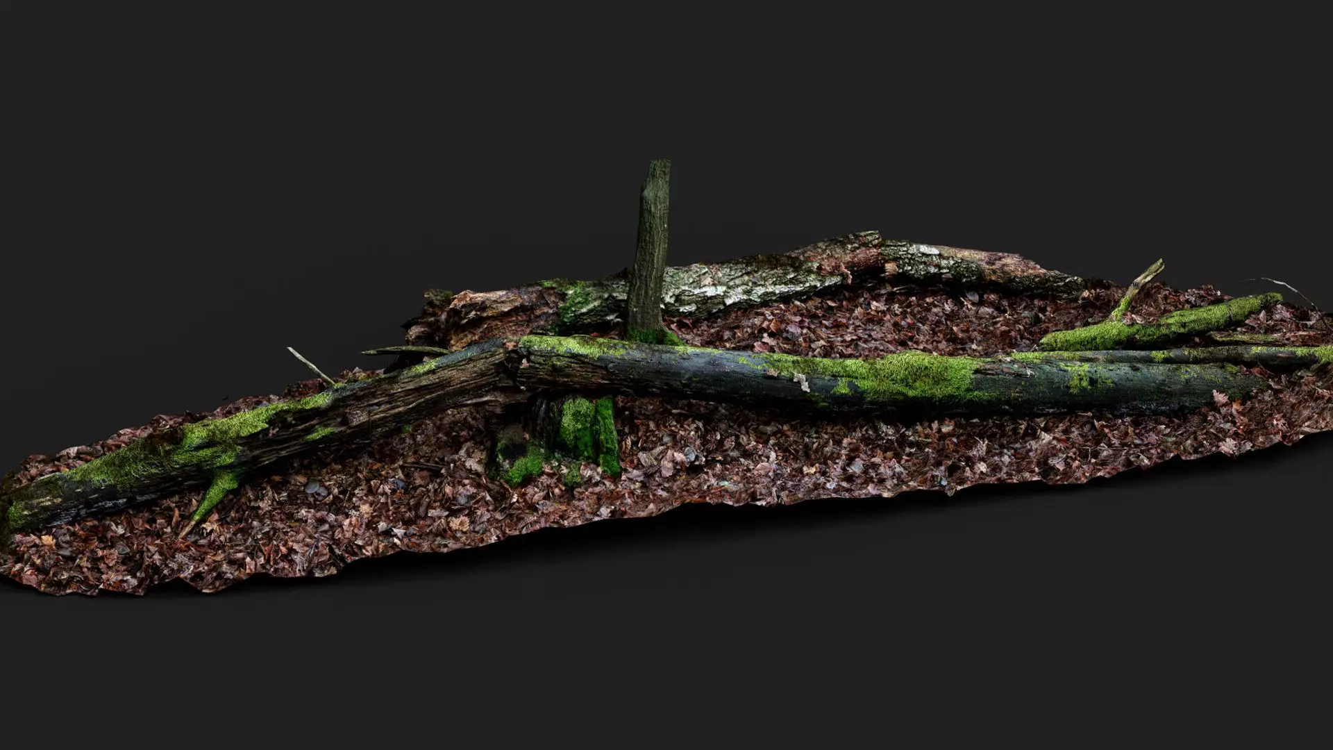broken tree trunks forest ground PBR photogrammetry Low-poly 3D model_4
