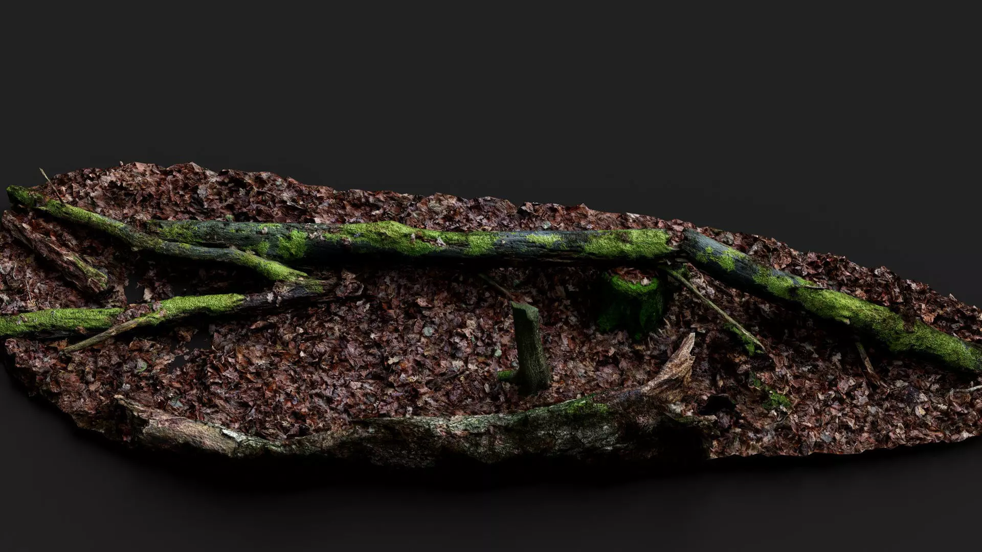 broken tree trunks forest ground PBR photogrammetry Low-poly 3D model_2