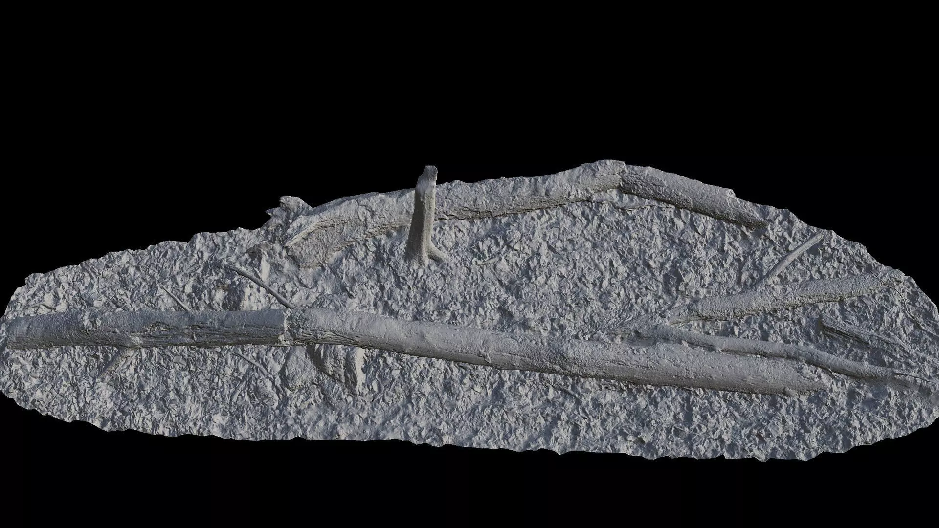 broken tree trunks forest ground PBR photogrammetry Low-poly 3D model_6